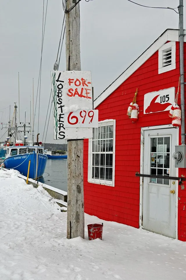 Hand-painted 'Lobsters for sale 6.99' sign on a utility pole beside a red-shingled wharf shed in the snow, with a blue fishing boat tied up behind, Eastern Passage, Nova Scotia