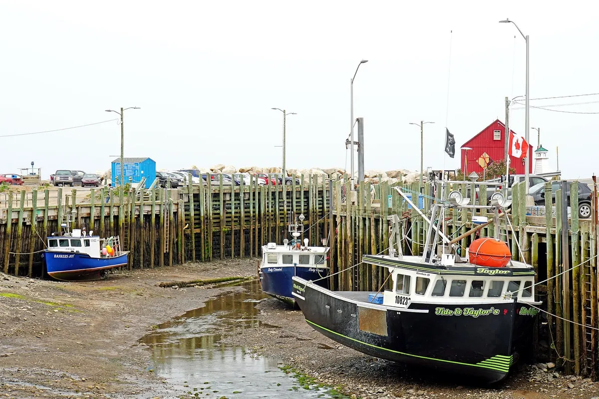 Fishing boats resting on the muddy harbour floor at low tide beside tall timber wharf pilings at Hall's Harbour, Nova Scotia, with a red waterfront building and a Canadian flag behind