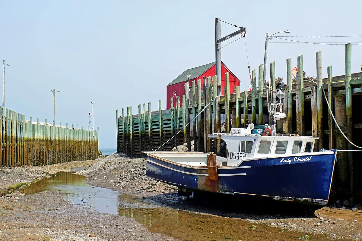 The blue lobster boat Lady Chantel resting on the gravel harbour bottom at low tide beside the tall wooden wharf at Hall's Harbour, with a red fish shed behind