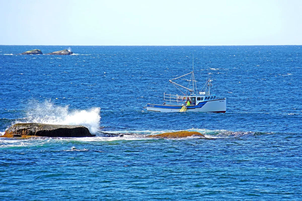 A white and blue Nova Scotia lobster boat working close to a rocky ledge, a crew member in a high-visibility jacket lifting a yellow wire trap at the rail