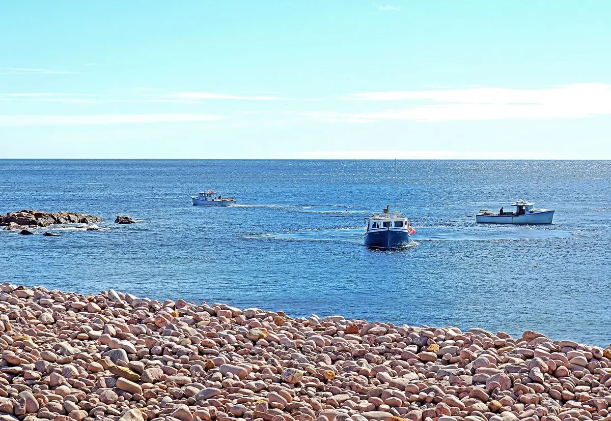 Three lobster boats working close to shore off Ingonish, Cape Breton, in June 2017, one with traps stacked on deck, seen across a beach of rounded pink cobblestones