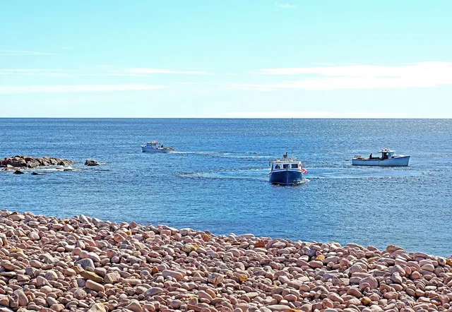 Three lobster boats working close to shore off Ingonish, Cape Breton, in June 2017, one with traps stacked on deck, seen across a beach of rounded pink cobblestones