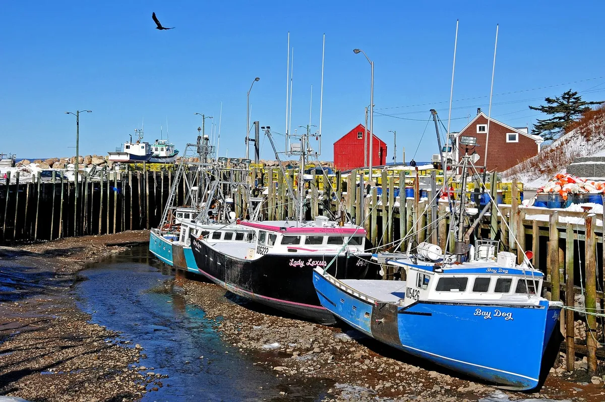 Lobster boats Lady Lexus and Bay Dog resting on the gravel harbour floor at low tide in Hall's Harbour on the Bay of Fundy, with snow on the wharf, stacked yellow traps and a red fish shed behind