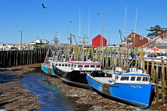 Lobster boats Lady Lexus and Bay Dog resting on the gravel harbour floor at low tide in Hall's Harbour on the Bay of Fundy, with snow on the wharf, stacked yellow traps and a red fish shed behind