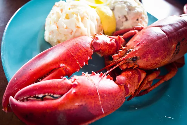A whole cooked lobster with its big crusher claw in front, on a teal plate with coleslaw, potato salad and a lemon wedge