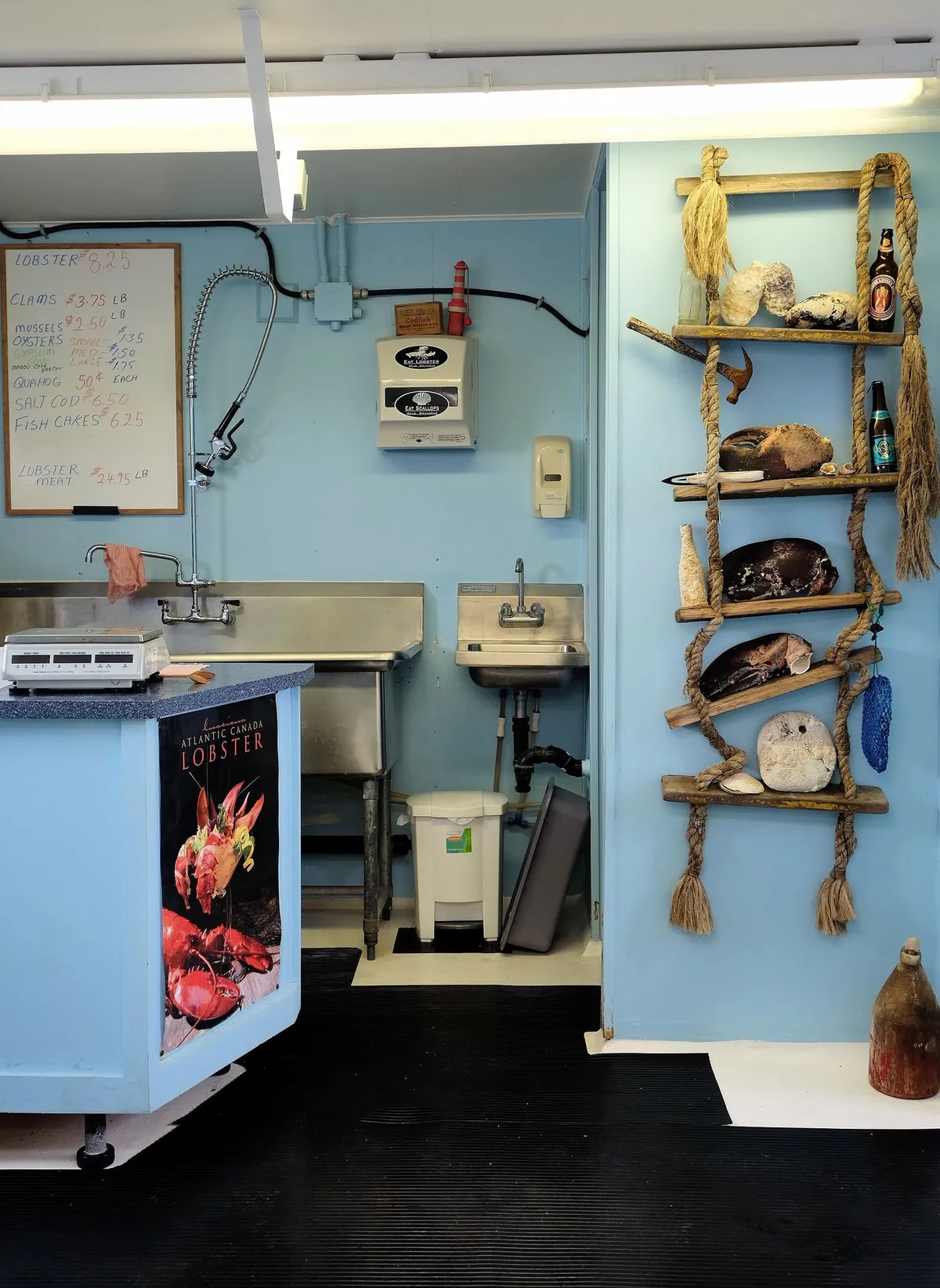 Inside a small seafood shop with pale blue walls: a whiteboard lists lobster at $8.25 and lobster meat at $24.95 a pound, a digital scale sits on the counter beside an Atlantic Canada Lobster poster, and old lobster claws are displayed on a rope-ladder shelf