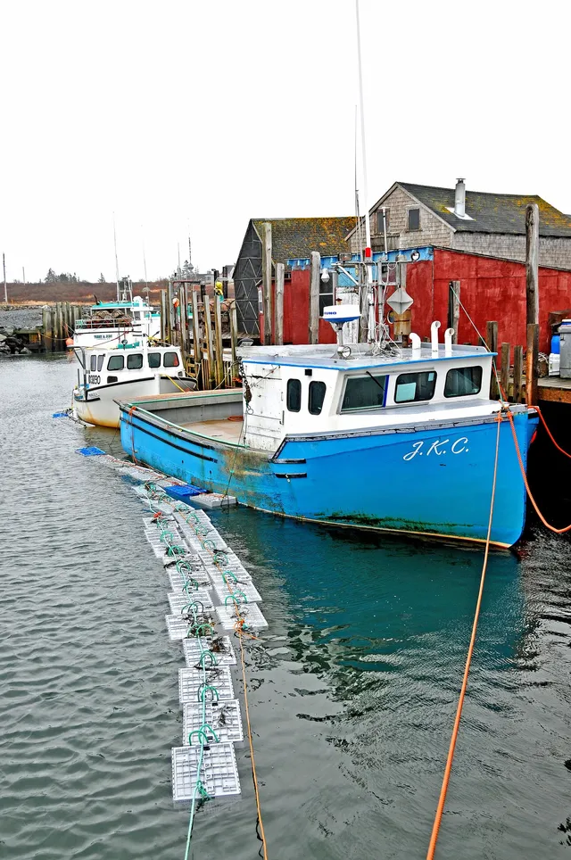 A blue lobster boat, J.K.C., tied up at the wharf in West Berlin, Queens County, in February, with a line of white plastic lobster crates floating alongside and red and grey fish sheds behind